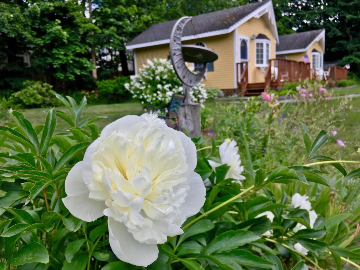 Sand Bar Cottage Inn Bar Harbor Zewnętrze zdjęcie